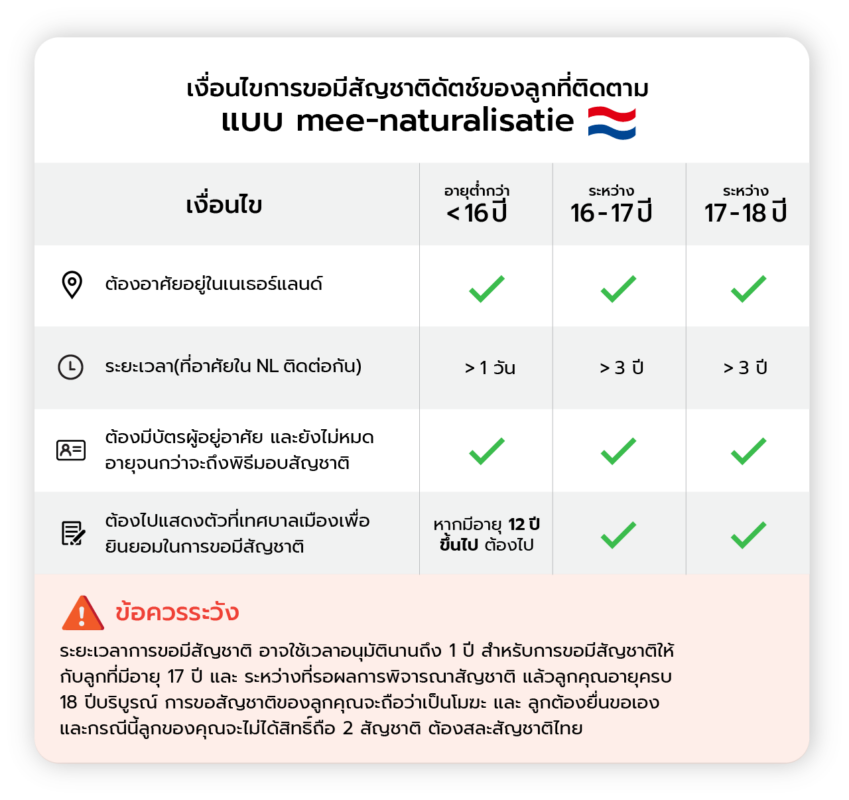 My Image 11